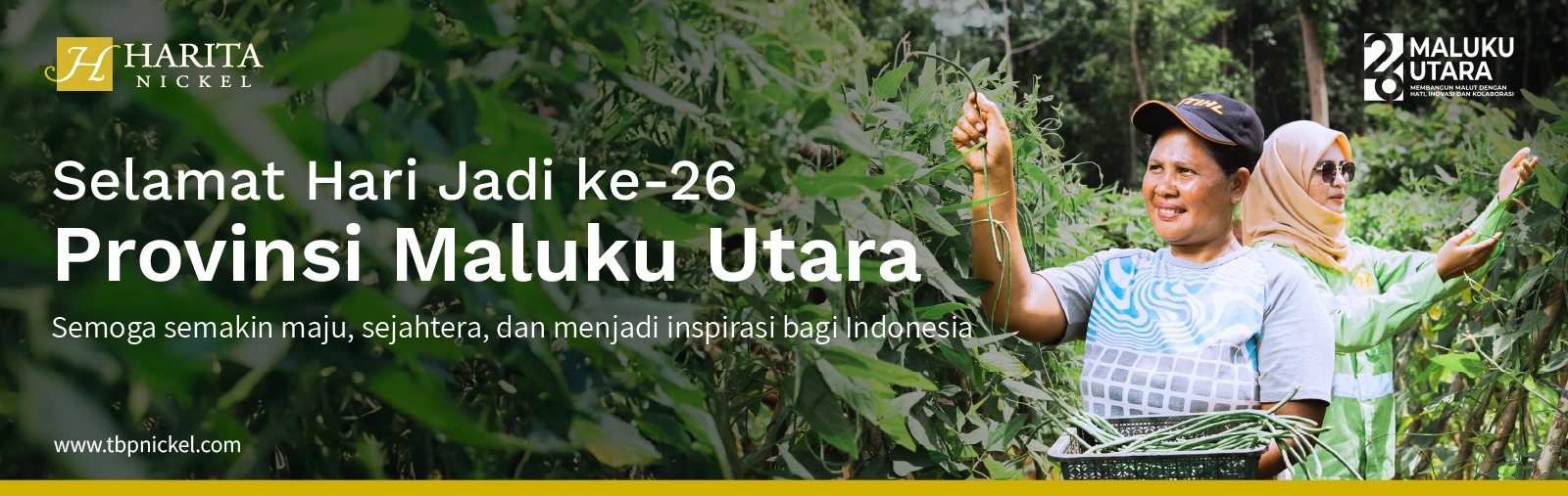 ads fullwidth top