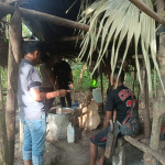 Tim Operasi Pekat Razia dan Musnahkan Tempat Penyulingan Cap Tikus di Weda Tengah