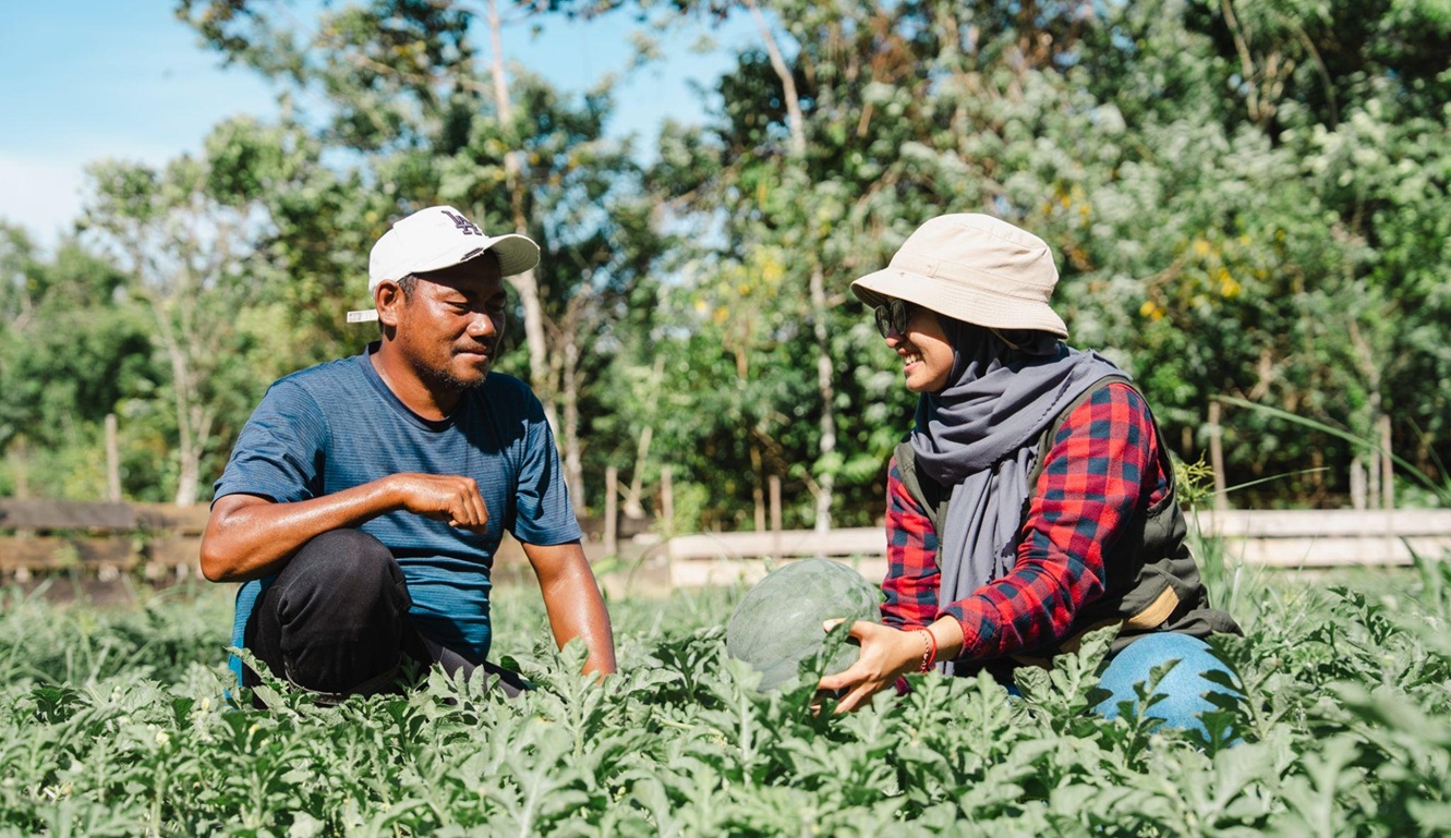 Harmoni Tambang dan Tani: Petani Milenial Obi Pasok Puluhan Ton Buah dan Sayur ke Harita Nickel